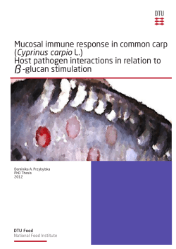 Mucosal immune response in common carp (Cyprinus carpio L