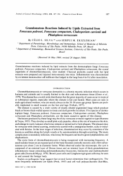 Granulomatous Reactions Induced by Lipids