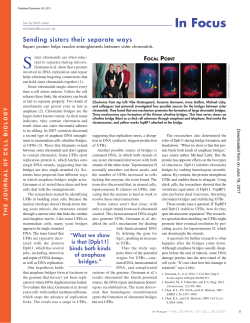 In Focus - The Journal of Cell Biology