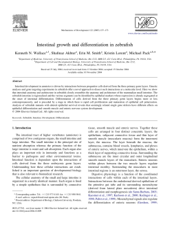 Intestinal growth and differentiation in zebrafish