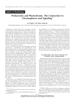 Prokaryotes and Phytochrome. The Connection to