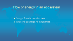 Flow of energy in an ecosystem