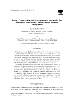Status conservation and management of the scarlet ibis eudocimus
