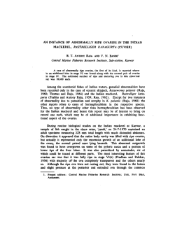 AN INSTANCE OF ABNORMALLY RIPE OVARIES IN THE INDIAN