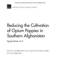 PDF file - RAND Corporation