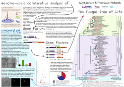 The Fungal Tree of Life Genome-scale comparative analysis of