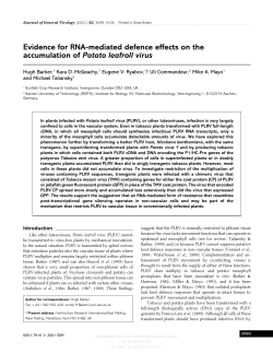 Evidence for RNA-mediated defence effects on the accumulation of