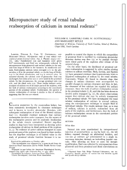 Micropuncture study of renal tubular reabsorption of calcium in