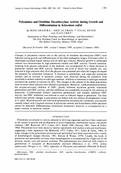 Polyamines and Ornithine Decarboxylase Activity