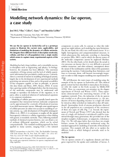 Modeling network dynamics: the lac operon, a case study