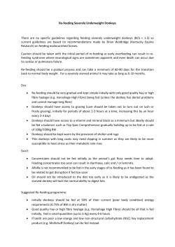 Re-feeding Severely Underweight Donkeys