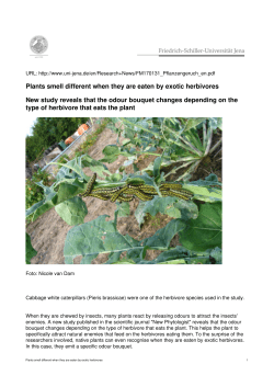 Plants smell different when they are eaten by exotic herbivores New