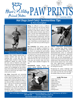 Hot Dogs (and Cats): Summertime Tips