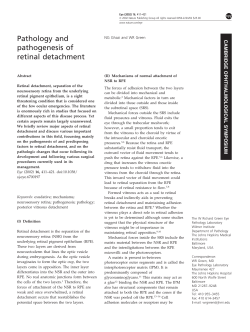 Pathology and pathogenesis of retinal detachment