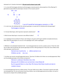 Homework 3 anwers File
