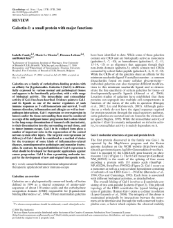 REVIEW Galectin-1: a small protein with major functions