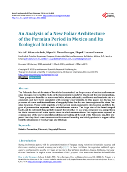 An analysis of a new foliar architecture of the Permian period in