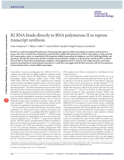 B2 RNA binds directly to RNA polymerase II to repress transcript