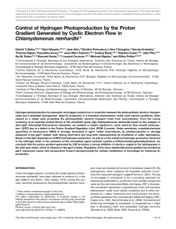 Control of Hydrogen Photoproduction by the Proton Gradient