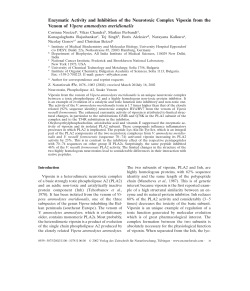 Enzymatic Activity and Inhibition of the Neurotoxic Complex Vipoxin