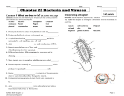 Chapter 22 Bacteria and Viruses