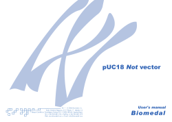 pUC18Not