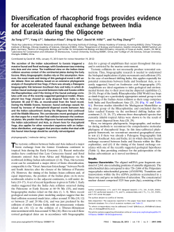 Diversification of rhacophorid frogs provides evidence for