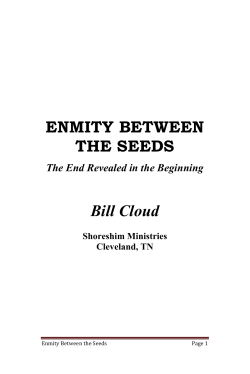 ENMITY BETWEEN THE SEEDS