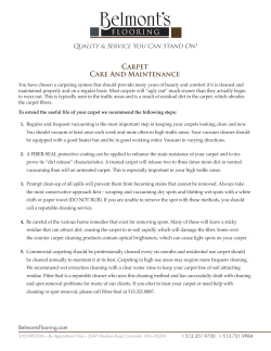 Carpet Care And Maintenance