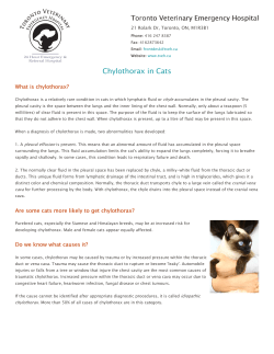 Chylothorax in Cats - Toronto Veterinary Emergency Hospital