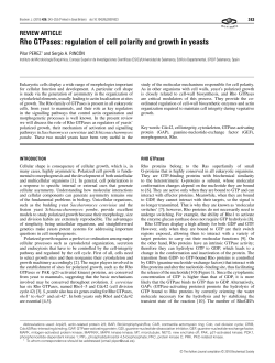 Rho GTPases: regulation of cell polarity and growth in yeasts