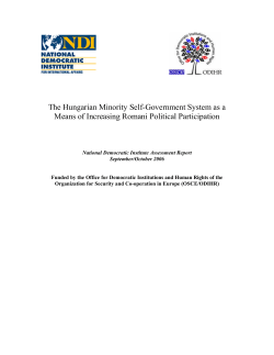 PDF - National Democratic Institute