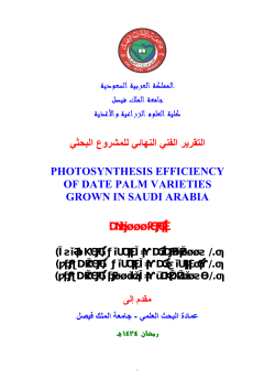 photosynthesis efficiency of date palm varieties grown in saudi arabia