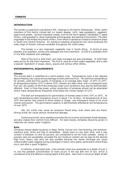 TOMATO - kzndard.gov.za