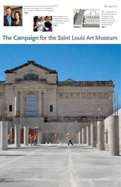 The Campaign for the Saint Louis Art Museum