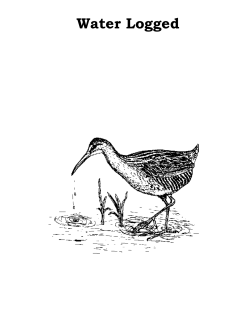 Full Curriculum  - National Mississippi River Museum