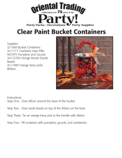 Clear Paint Bucket Containers