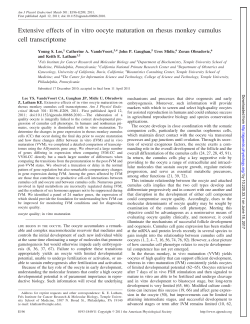 Extensive effects of in vitro oocyte maturation on rhesus monkey