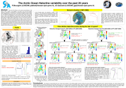The Arctic Ocean Halocline variability over the past 20 years