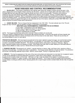 rose diseases and control recommendations