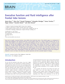 Executive function and fluid intelligence after