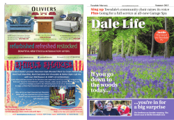 If you go down to the woods today