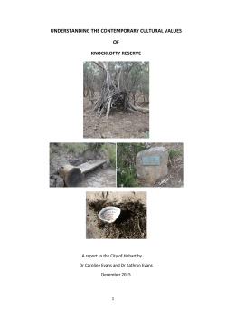 understanding the contemporary cultural values of