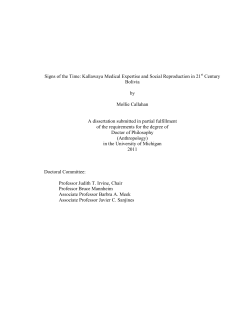 Signs of the Time: Kallawaya Medical Expertise and