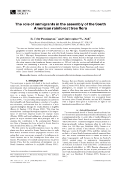 The role of immigrants in the assembly of the South American