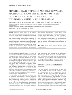 RHAETIAN (LATE TRIASSIC) MONOTIS (BIVALVIA: PECTINOIDA