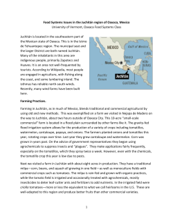 Food Systems Issues in the Juchit&aacute;n region of Oaxaca, Mexico