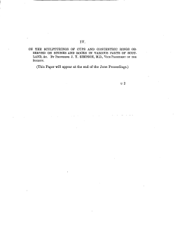 ON THE SCULPTURINGS OF COTS AND CONCENTRIC EINGS OB