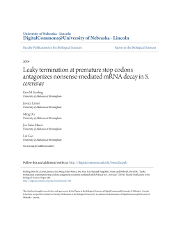 Leaky termination at premature stop codons antagonizes nonsense