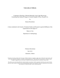 Comparative Histology of Burned Mammals Using Light Microscopy